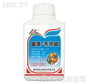 ��ບ�����