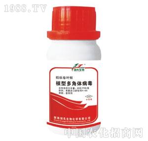 ��(chu��ng)������-���Ͷ���w����