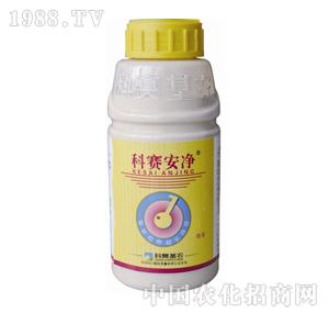 ��ِ���r(n��ng)-��ِ����