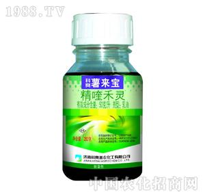 ��ِ���r(n��ng)-��ِ��팚