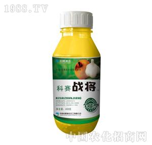 ��ِ���r(n��ng)-��ِ��(zh��n)��