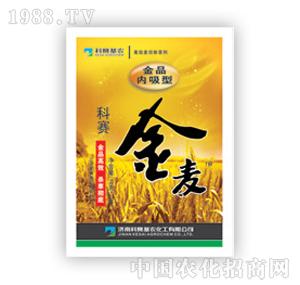 ��ِ���r(n��ng)-��������Ʒ��(n��i)���ͣ�