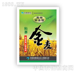 ��ِ���r(n��ng)-�������ͣ�