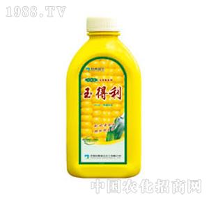 ��ِ���r(n��ng)-�����