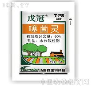 ����ˎ�I(y��)-���