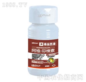 ���՘�-���Sӡ���