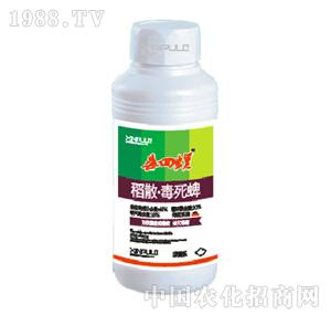 ���՘�-��ɢ������