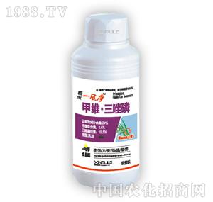 ���՘�-�׾S������