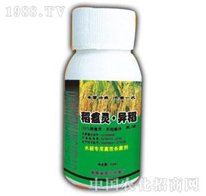 ��¶-�����`����