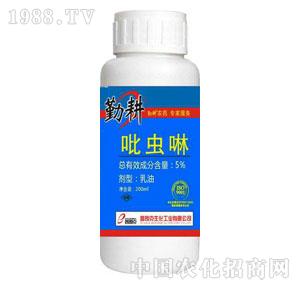 ���ʿ�-5%�ߝB���x(ch��ng)������