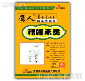 ���ʿ�-��୺��`(�����(zhu��n)�ã�