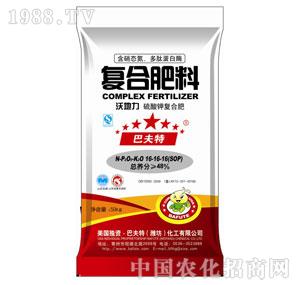 16-16-16�ֵ���