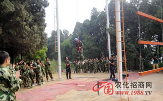 �𱬾W(w��ng)�j(lu��)��չӖ(x��n)��֮�߿Ք���