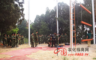 �𱬾W(w��ng)�j(lu��)��չӖ(x��n)��֮�߿Ք���